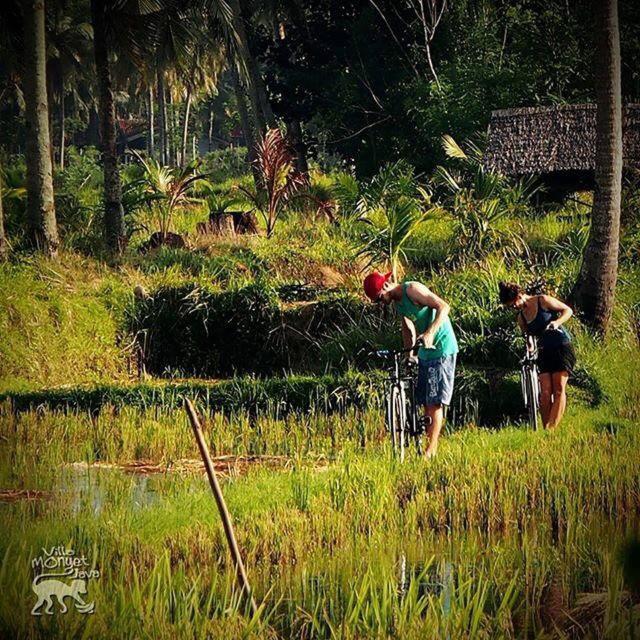 Bk Homestay, Batukaras ภายนอก รูปภาพ