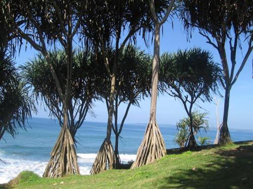 Bk Homestay, Batukaras ภายนอก รูปภาพ
